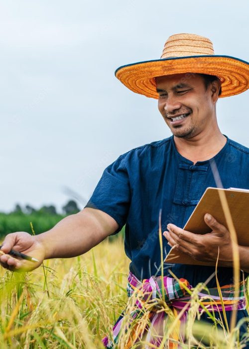asian-middle-aged-farmer-man-wearing-straw-hat-write-clipboard-rice-field-with-smile-during-keep-data_1150-53979
